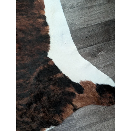 Brown and black tricolour