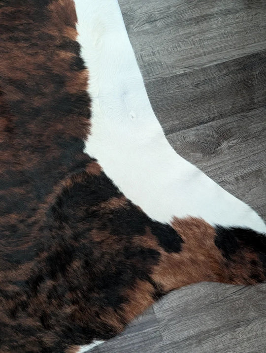 Brown and black tricolour