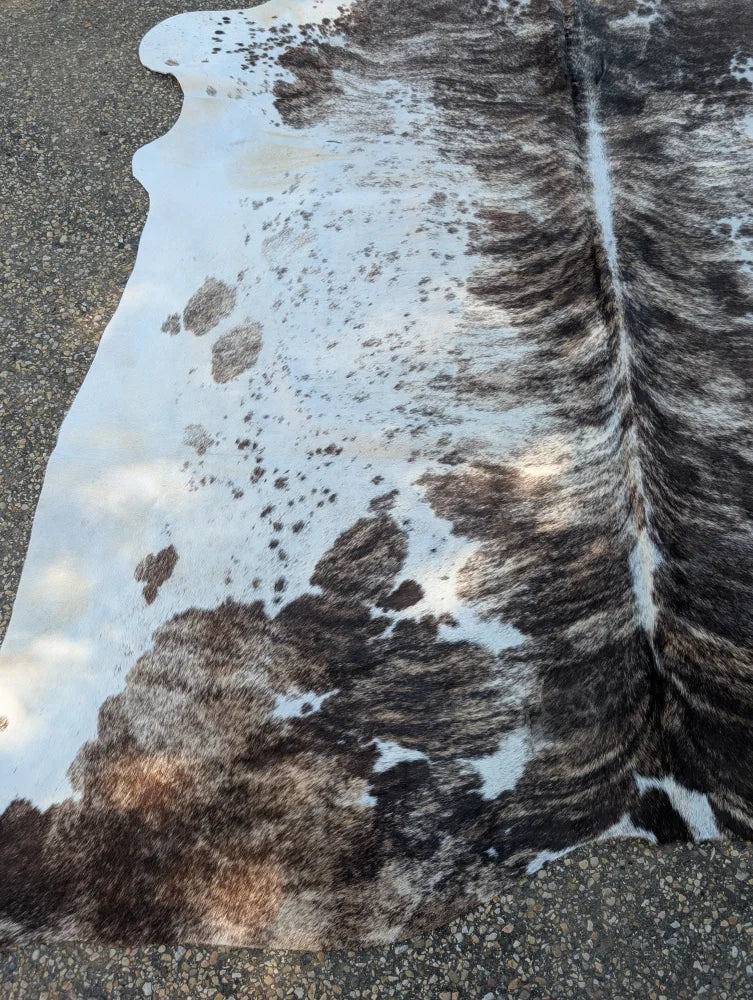 A large cowhide rug with unique characteristics featuring a black and white spotted pattern and rustic charm