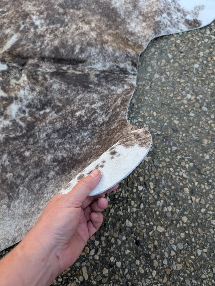 A hand holds a large cowhide rug with unique characteristics and rustic charm in white and dark brown patches