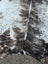 A large cowhide rug with black white and brown spotted pattern showcasing unique characteristics and rustic charm
