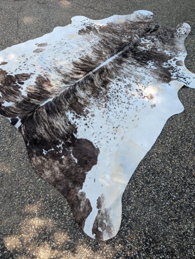 Large tricolour#171 black and white cowhide rug with unique spotted pattern and rustic charm laid flat on asphalt