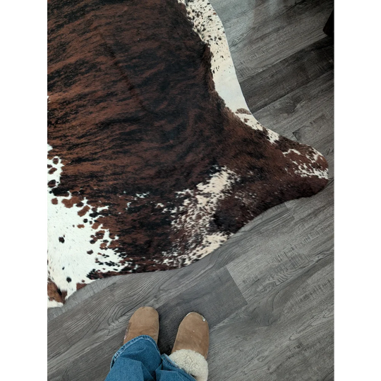 Brown and white tricolour