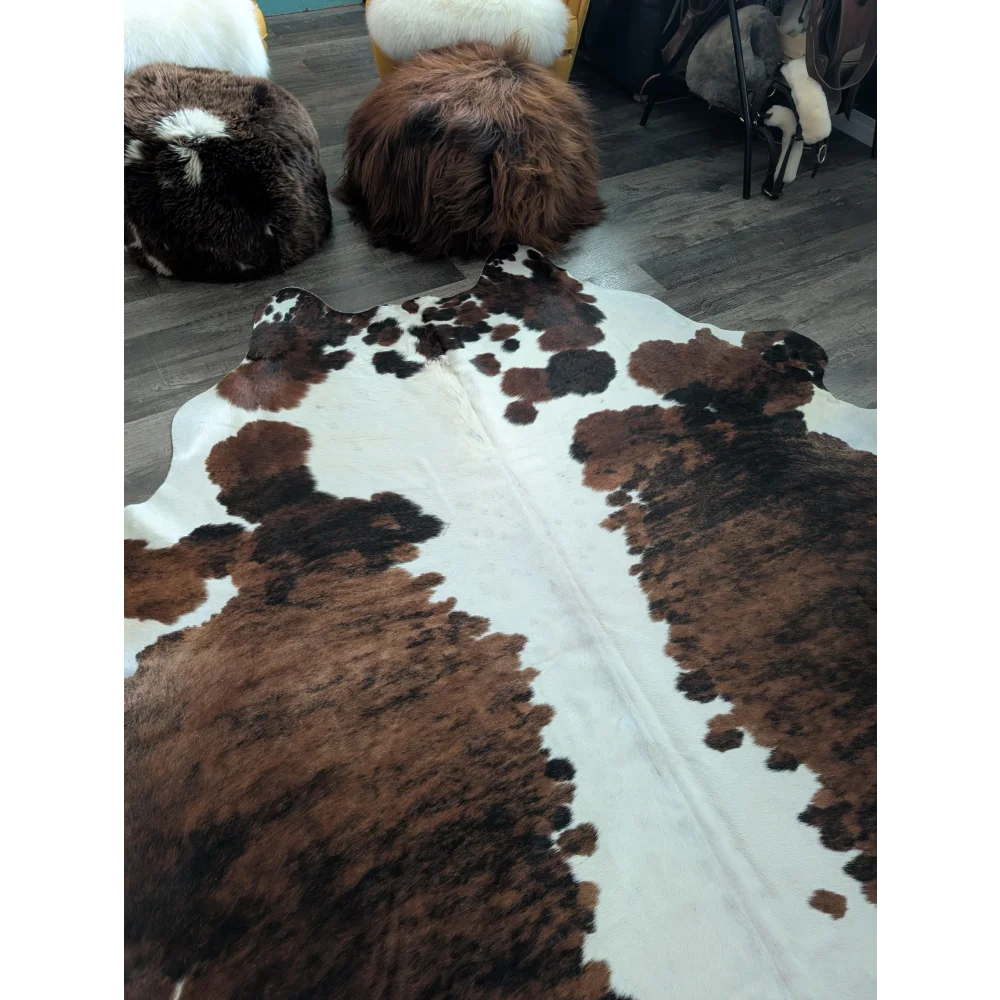 Brown and white tricolour