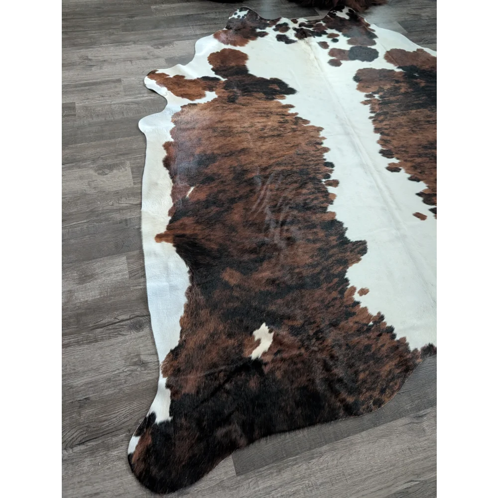 Brown and white tricolour