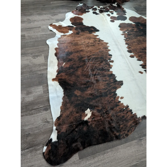Brown and white tricolour