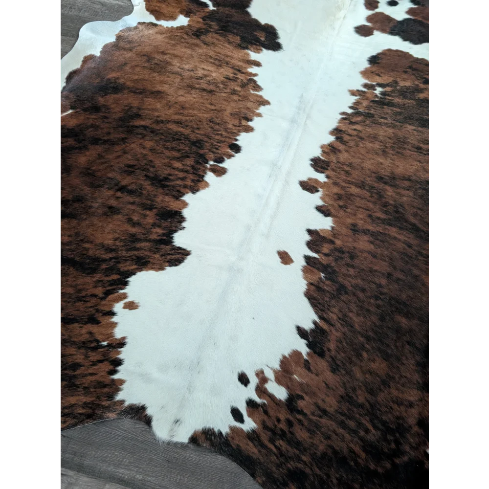 Brown and white tricolour