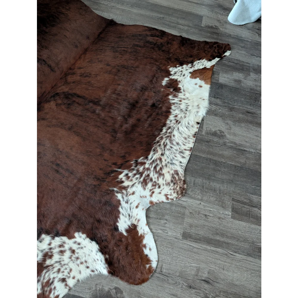 Brown and white tricolour