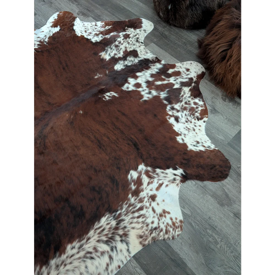 Brown and white extra large cowhide rug with natural irregular edges perfect for beautiful rugs and decor