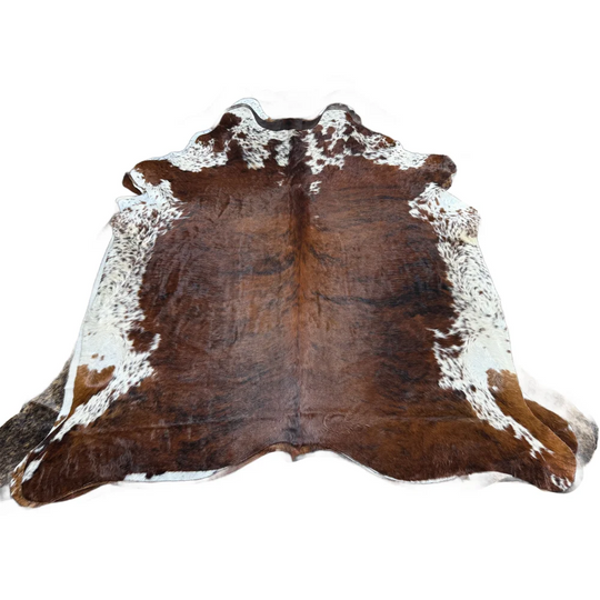 Brown and white beautiful extra large cowhide rug with natural irregular edges perfect large cowhide for any space