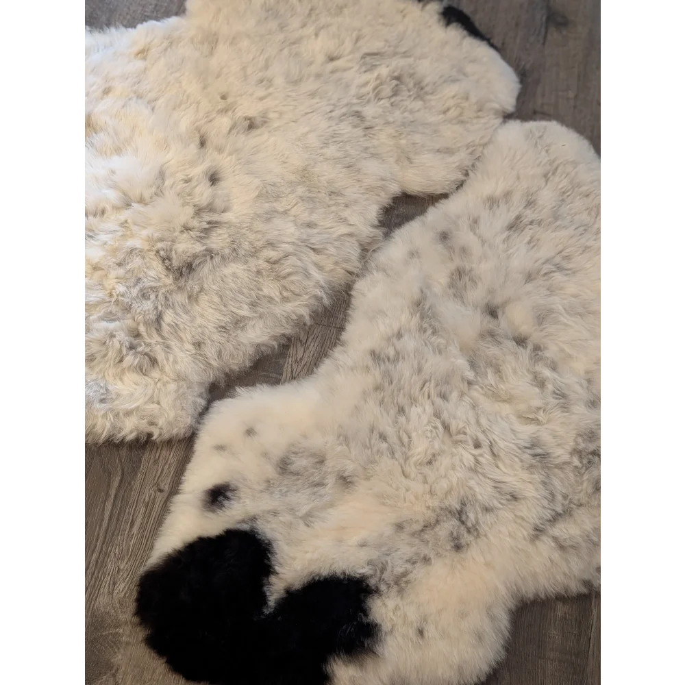 Fluffy white and black icelandic sheepskins with natural irregular short wool texture perfect for cozy decor