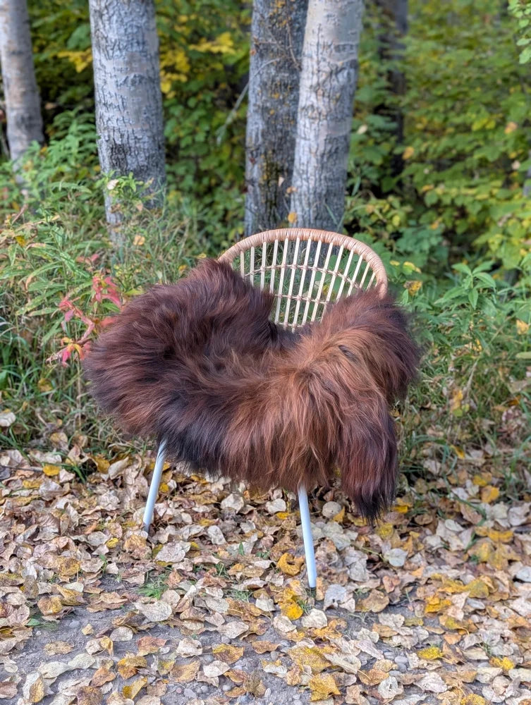 A cozy thick brown wool icelandic sheepskin rug draped over a wicker chair with metal legs for a natural rustic look