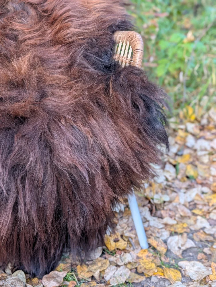 A thick brown shaggy wool icelandic sheepskin blanket draped over a wicker chair armrest natural dark rusty color