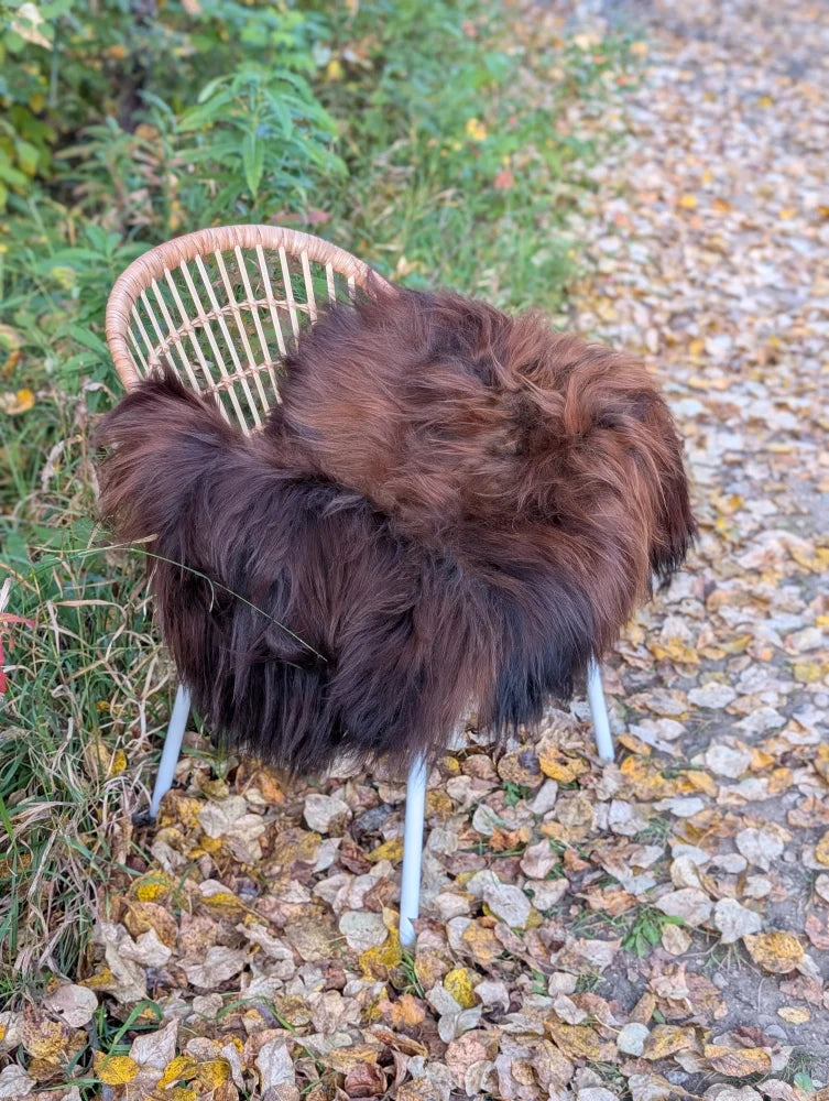 A cozy thick dark rusty brown wool icelandic sheepskin throw draped over a wicker chair with white metal legs