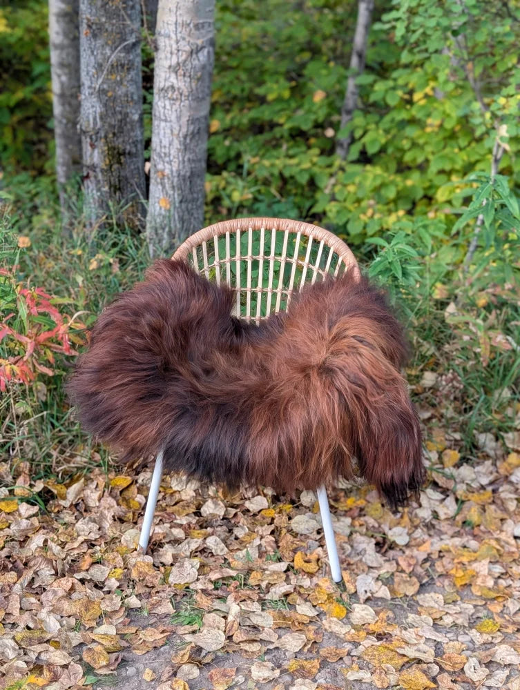 A plush natural dark rusty icelandic sheepskin throw draped over a woven rattan chair with metal legs
