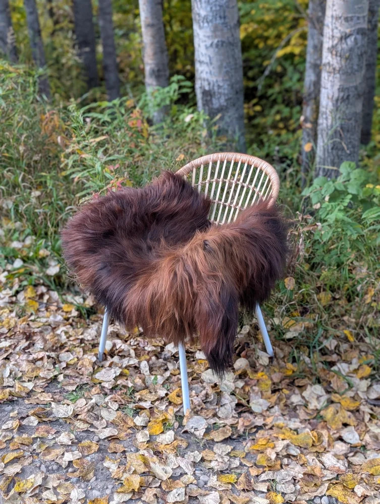A plush dark rusty icelandic sheepskin rug draped over a light wicker chair with metal legs showcasing wool icelandic softness