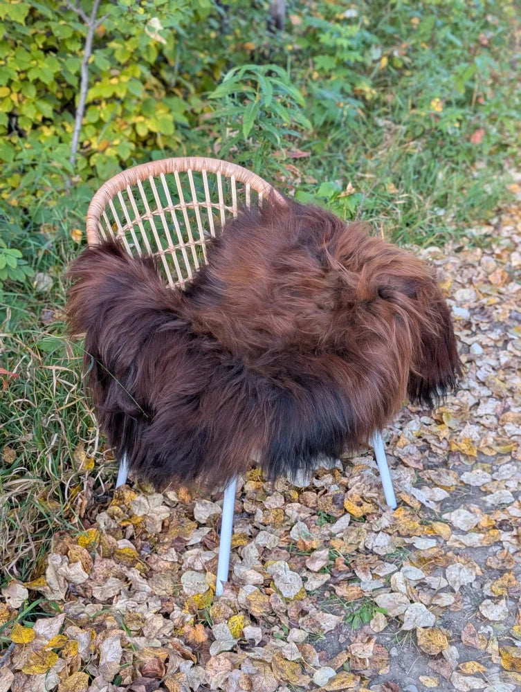A massive natural dark rusty icelandic sheepskin wool rug draped over a wicker chair with white metal legs