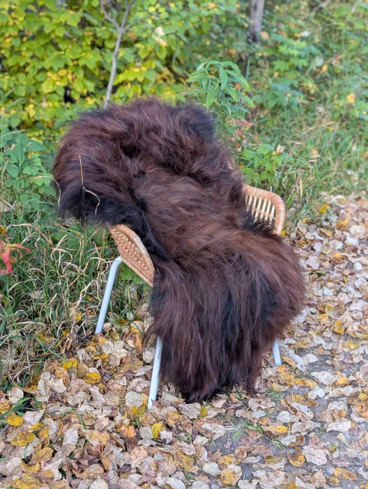 A thick dark brown wool icelandic sheepskin rug draped over a wicker chair with white metal legs