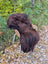 A thick dark brown wool icelandic sheepskin rug draped over a wicker chair with white metal legs