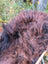 A thick shaggy natural dark rusty icelandic sheepskin wool blanket with brown and black fur texture