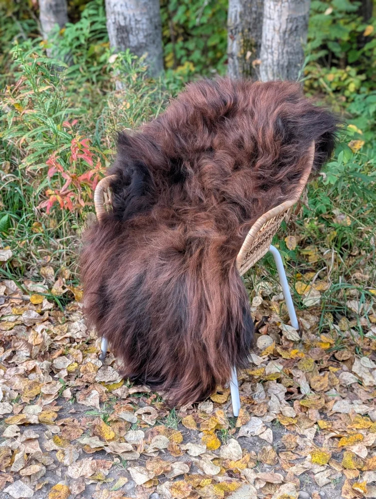 Thick fluffy brown woool icelandic sheepskin rug draped over woven chair in natural dark rusty color