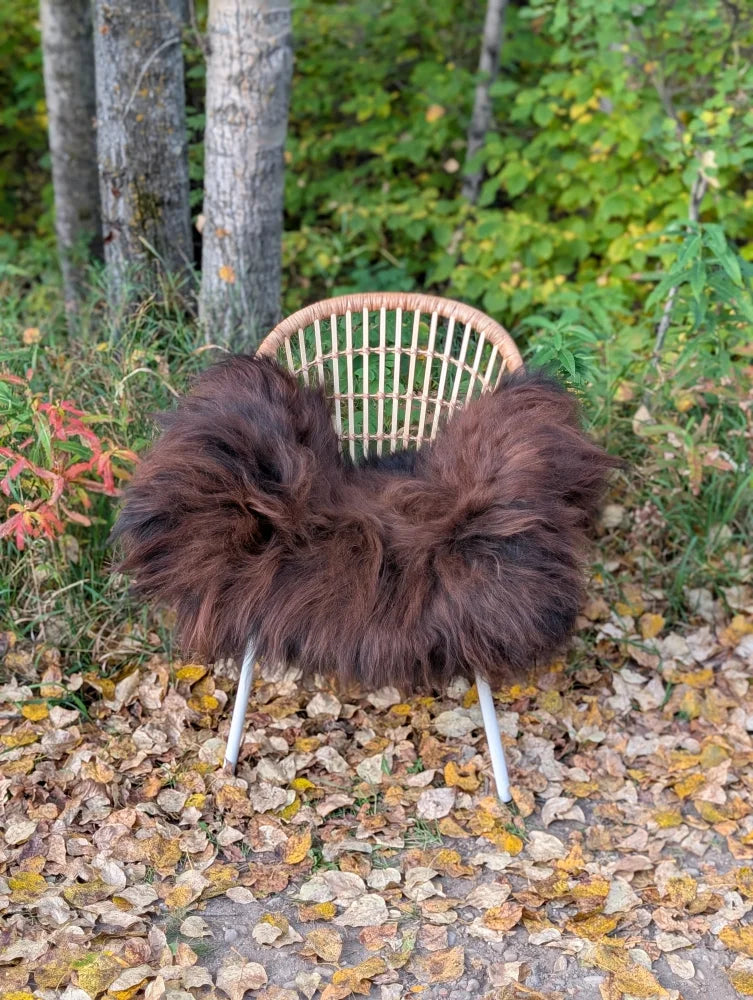 A cozy plush brown wool icelandic sheepskin throw draped over a wicker chair with metal legs