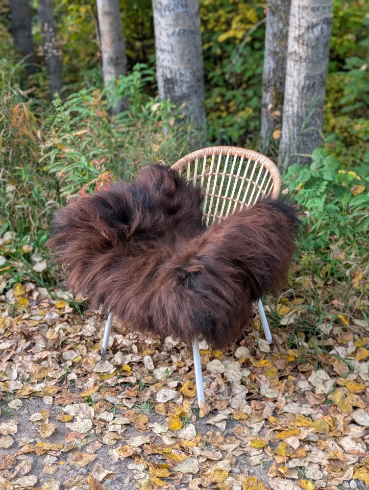 A cozy massive natural dark rusty icelandic sheepskin rug draped over a light wicker chair with metal legs