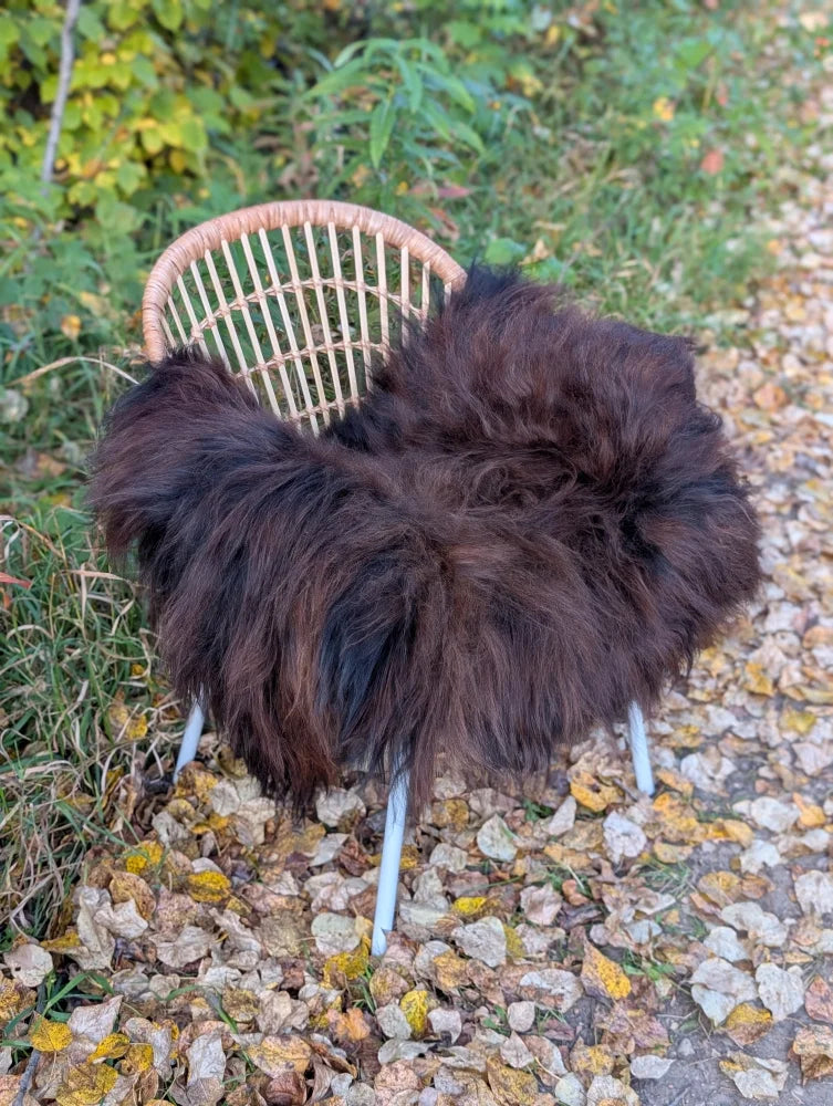 Thick dark rusty icelandic sheepskin rug draped over a wicker chair with light blue metal legs wool icelandic design