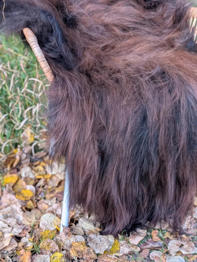 Thick dark brown and black wool icelandic sheepskin draped over a woven wicker chair for cozy decor