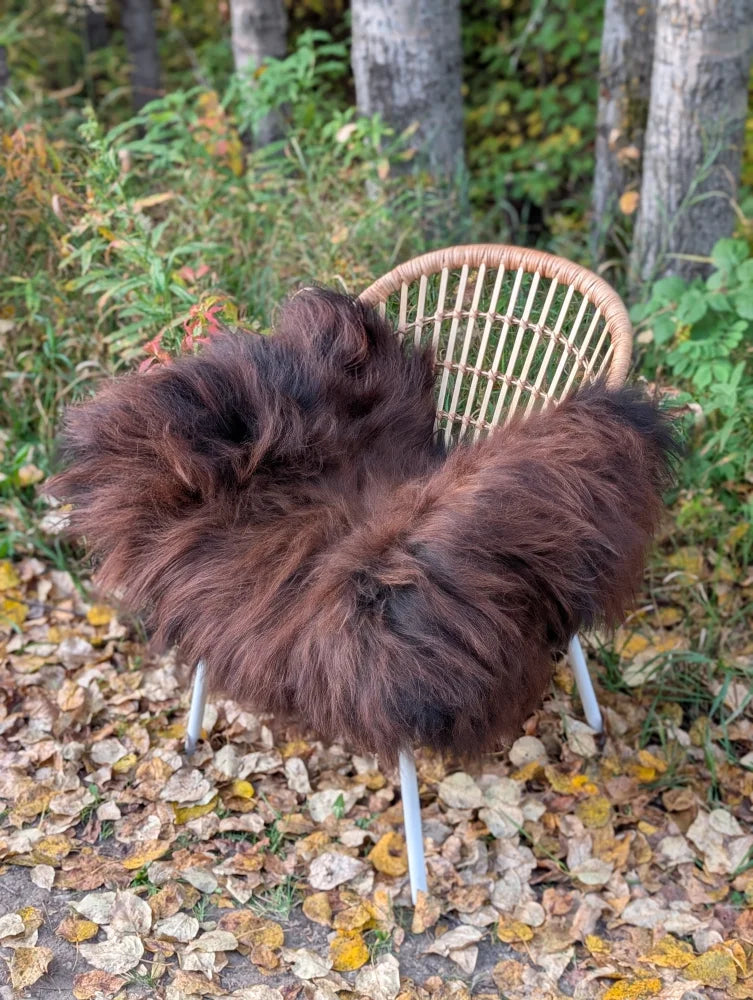 A plush dark brown wool icelandic sheepskin throw draped over a wicker chair with white metal legs