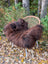 A plush dark brown wool icelandic sheepskin throw draped over a wicker chair with white metal legs