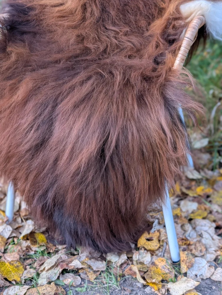 A plush brown wool icelandic sheepskin chair with long hair, woven wooden handle, and light blue metal legs