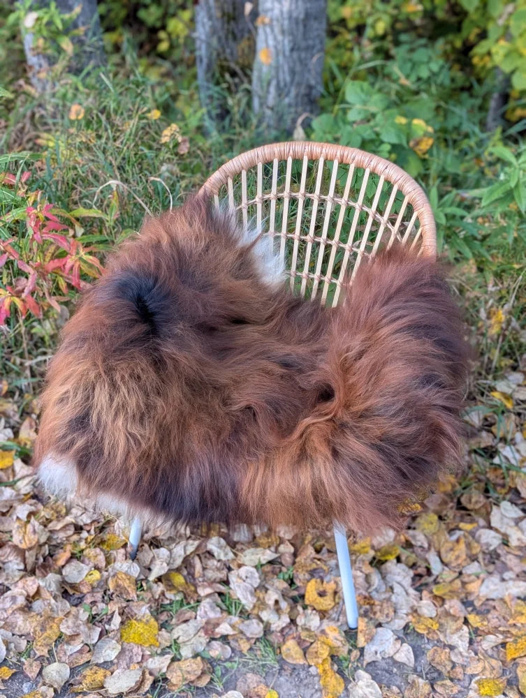 A massive natural dark rusty icelandic sheepskin wool throw draped over a woven wicker chair for cozy use