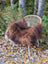 A massive natural dark rusty icelandic sheepskin rug draped over a woven wicker chair with white metal legs