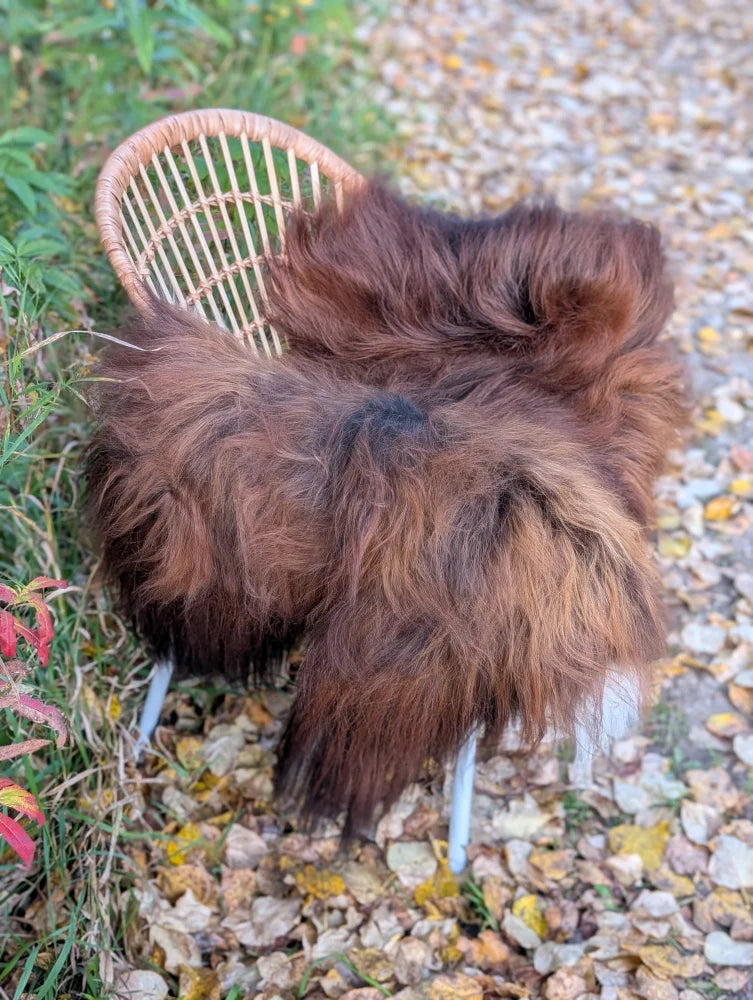A massive natural dark rusty icelandic sheepskin rug with long thick wool draped over a wicker chair