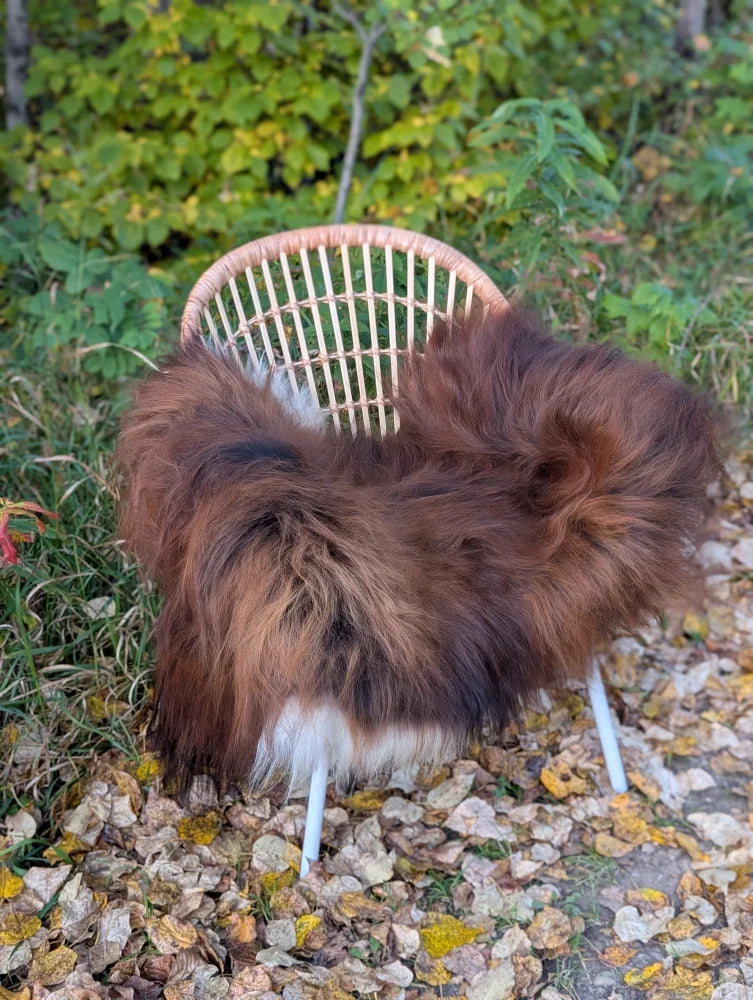 A massive natural dark rusty icelandic sheepskin throw in wool draped over a woven wicker chair