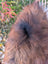 A fluffy long-haired dog on a massive natural dark rusty icelandic sheepskin with wool icelandic texture