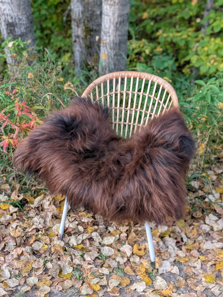 A plush dark rusty icelandic sheepskin throw draped over a woven rattan chair with metal legs for cozy style