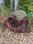 A plush dark rusty icelandic sheepskin throw draped over a woven rattan chair with metal legs for cozy style