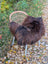A plush dark rusty icelandic sheepskin throw draped over a wicker chair with white metal legs