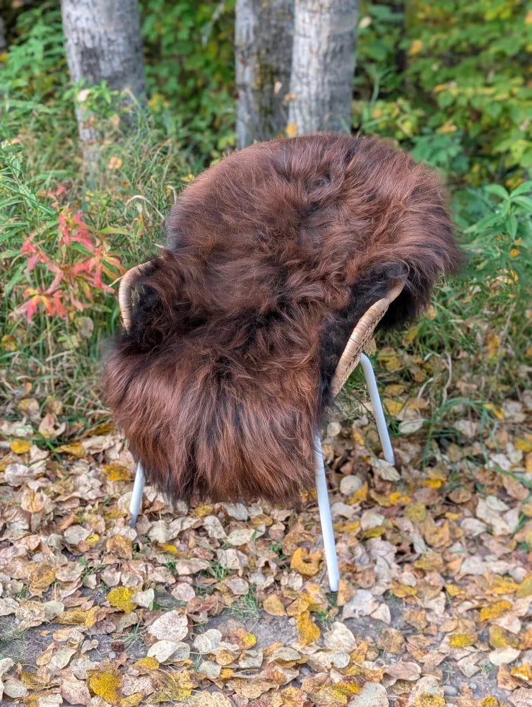 Plush rich brown massive 58 x 32 icelandic sheepskin chair with soft fluffy wool icelandic texture and light metal legs