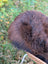 A fluffy dark brown wool icelandic sheepskin head peeking from a woven basket in a natural dark rusty shade