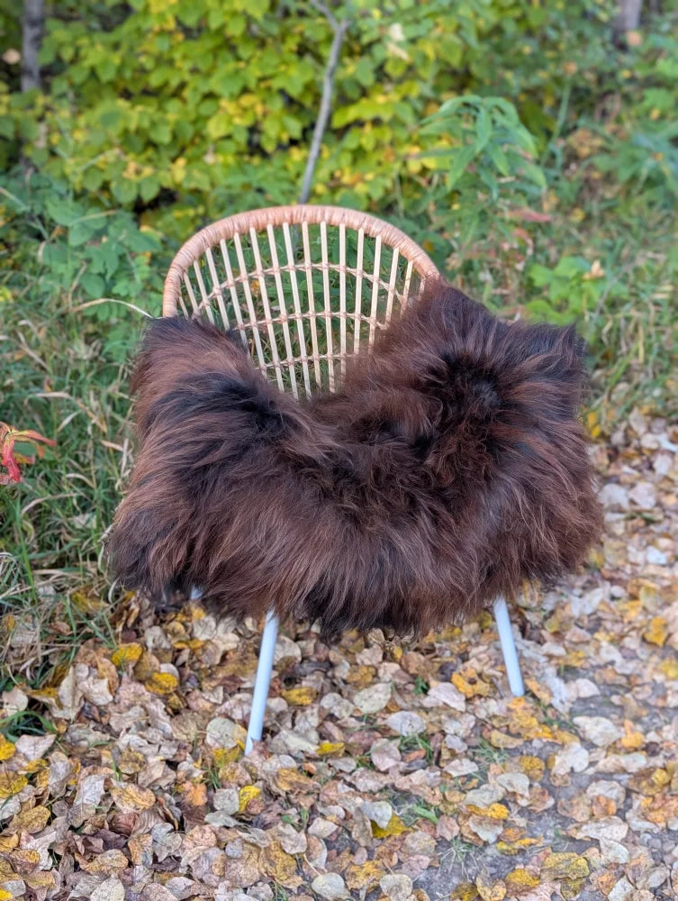 A massive natural dark rusty icelandic sheepskin wool throw draped over a woven wicker chair with white metal legs