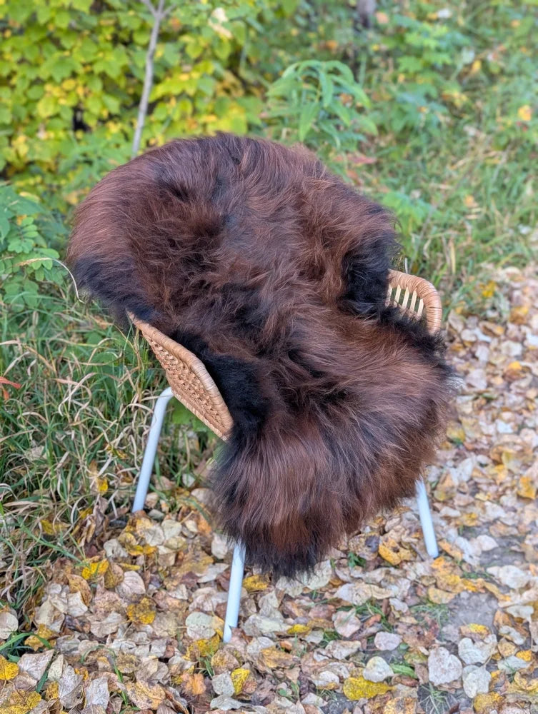 A dark rusty wool icelandic sheepskin rug draped over a wicker chair with white metal legs