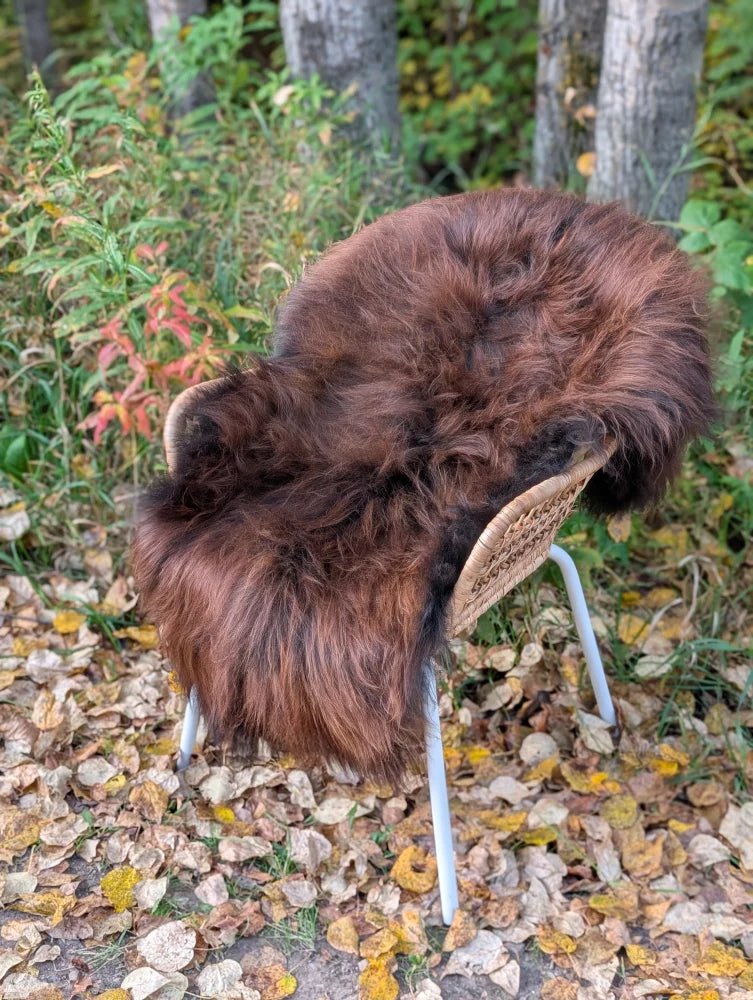 A plush natural dark rusty icelandic sheepskin rug draped over a woven wicker chair with white metal legs