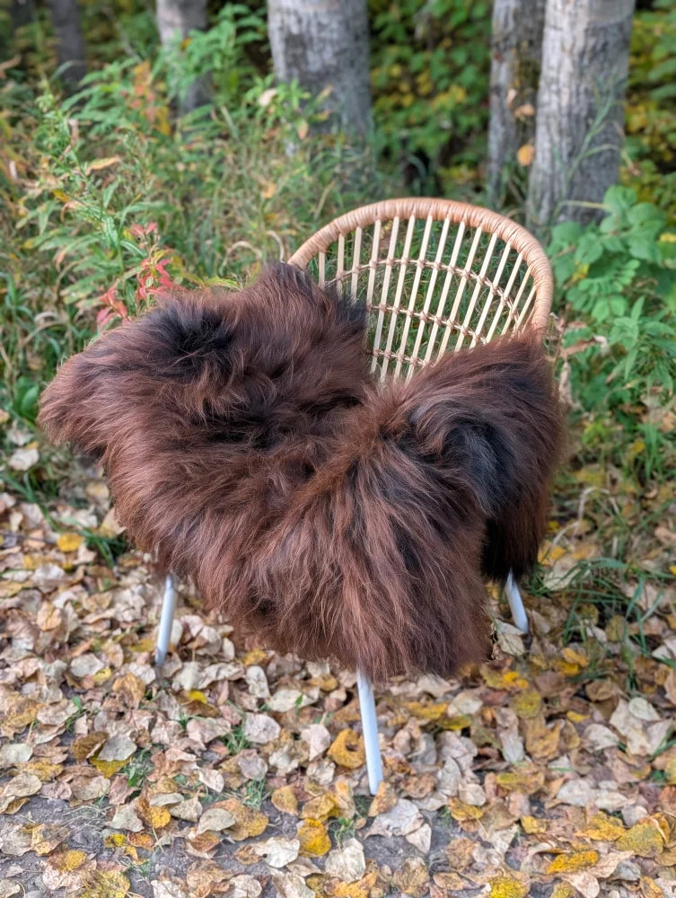 A massive natural dark rusty wool icelandic sheepskin throw draped over a woven rattan chair with white metal legs