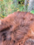 A massive 61 by 36 inch wool icelandic sheepskin with thick reddish brown fur and lighter white tips perfect for cozy spaces
