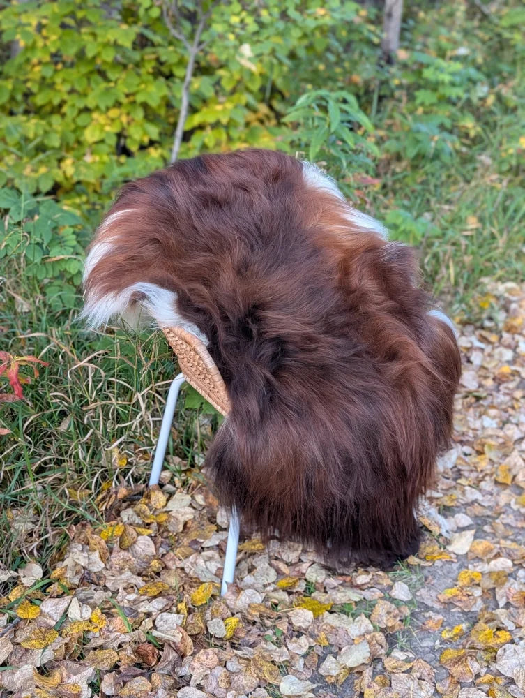 Brown and white wool icelandic sheepskin throw draped over metal chair in natural dark rusty color