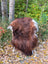 A plush brown and white wool icelandic sheepskin chair with a soft fluffy texture in dark rusty tones