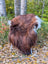 A plush icelandic sheepskin chair in natural dark rusty brown and white with slender silver legs made of wool icelandic fiber